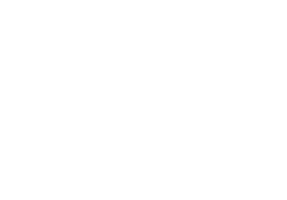 Wildcat Finance blockchain development, solidity, smart contracts